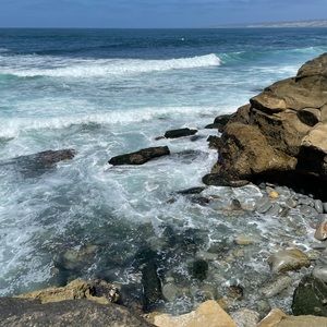 Meet your Posher, Madeline